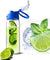 Fruit Infuser Lemon bottle